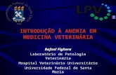 INTRODUÇÃO À ANEMIA EM MEDICINA VETERINÁRIA Rafael Fighera Laboratório de Patologia Veterinária Hospital Veterinário Universitário Universidade Federal.