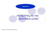 INTRODUÇÃO AO METABOLISMO Bioquímica II Docente: Ana Claudia Pelizon.