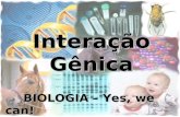Interação Gênica BIOLOGIA – Yes, we can! Prof. Thiago Moraes Lima.
