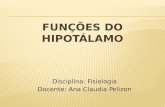 FUNÇÕES DO HIPOTÁLAMO Disciplina: Fisiologia Docente: Ana Claudia Pelizon.