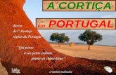 A CORTIÇA em PORTUGAL Com cerca de 157 mil toneladas de cortiça, produzidas a cada ano Portugal é o maior produtor mundial deste material. Em seguida,
