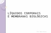 LÍQUIDOS CORPORAIS E MEMBRANAS BIOLÓGICAS Prof. Meire Freitas.