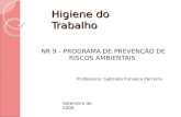 Higiene do Trabalho NR 9 - PROGRAMA DE PREVENÇÃO DE RISCOS AMBIENTAIS Professora: Gabriela Fonseca Parreira Setembro de 2009.