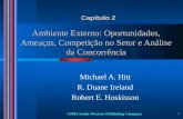©2003 South-Western Publishing Company 1 Ambiente Externo: Oportunidades, Ameaças, Competição no Setor e Análise da Concorrência Michael A. Hitt R. Duane.