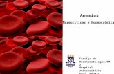 Anemias Normocíticas e Normocrômicas Serviço de Oncohematologia/TMO Hospital Universitário Prof. Edgard Santos - UFBa.