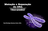 Mutação e Reparação do DNA Aspectos Conceituais e Rotas Metabólicas Prof. Antonio Márcio Teodoro Cordeiro Silva, M.Sc. Mutação e Reparação do DNA Aspectos.