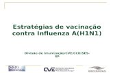 Estratégias de vacinação contra Influenza A(H1N1) Divisão de Imunização/CVE/CCD/SES-SP.