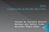 Felipe de Carvalho Morales Matheus dos Santos Prado Natanael Magno Gomes.