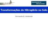 Fernando D. Andreote Transformações do Nitrogênio no Solo.