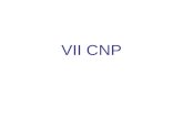 VII CNP. O Congresso Nacional de Psicologia (CNP) é a instância máxima de deliberação do Sistema Conselhos de Psicologia. No CNP são definidas as diretrizes.