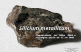 Silicium metallicum XII Encontro Mineiro de Homeopatia Maraisa Salgado Vilela Novembro - 2006 Experimento em Maio 2000 e Re-experimento em Julho 2002.