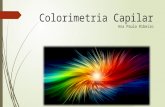 Colorimetria Capilar Ana Paula Ribeiro. Agenda  Conhecer a colorimetria Conhecer a colorimetria  Cores primárias e secundárias Cores primárias e secundárias.