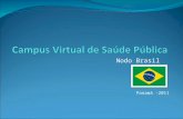 Nodo Brasil Panamá -2011. Experiências Positivas Incorporação de 35 instituições da Rede de Escolas de Governo e Centros Formadores em Saúde Pública Formulário.