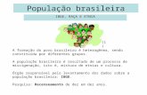 População brasileira IBGE, RAÇA E ETNIA A formação do povo brasileiro é heterogênea, sendo constituída por diferentes grupos. A população brasileira é.