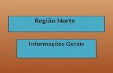 Região Norte Informações Gerais. REGIÃO NORTE A Região Norte é a maior região brasileira, com uma área de 3 853 327,2 km2 correspondendo a 45% do total.