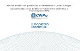 Acesso direto aos pareceres na Plataforma Carlos Chagas Conselho Nacional de Desenvolvimento Científico e Tecnológico CNPq.