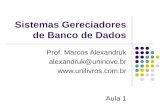 Sistemas Gereciadores de Banco de Dados Prof. Marcos Alexandruk alexandruk@uninove.br  Aula 1.