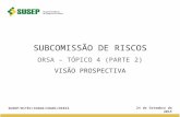 S UBCOMISSÃO DE R ISCOS ORSA – T ÓPICO 4 (P ARTE 2) V ISÃO P ROSPECTIVA SUSEP/DITEC/CGSOA/COARI/DIRIS 24 de Setembro de 2015.