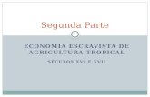 ECONOMIA ESCRAVISTA DE AGRICULTURA TROPICAL SÉCULOS XVI E XVII Segunda Parte.