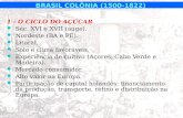 BRASIL COLÔNIA (1500-1822) 1 - O CICLO DO AÇÚCAR Séc. XVI e XVII (auge). Nordeste (BA e PE). Litoral. Solo e clima favoráveis. Experiência de cultivo (Açores,