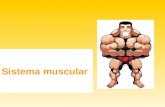 Sistema muscular. O tecido muscular é, caracterizado pela propriedade de contração (flexão) e distensão (extensão) de suas células, o que determina a.