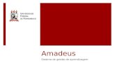 Amadeus Sistema de gestão de aprendizagem. Agenda  Apresentação  Funcionalidades e aspectos pedagógicos  Visão de futuro  Ação em Rede