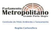 Região Carbonífera Vice – Presidente: Luis Ernani Ferreira Alves ( Chacrinha ) - Guaíba Temática de Trabalho Meio Ambiente e Saneamento Comissão: Presidente:
