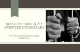 TRABALHO E EDUCAÇÃO: JUVENTUDE ENCARCERADA Prof. Fernando Selmar Rocha Fidalgo (FaE/UFMG)
