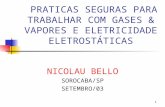 1 PRATICAS SEGURAS PARA TRABALHAR COM GASES & VAPORES E ELETRICIDADE ELETROSTÁTICAS NICOLAU BELLO SOROCABA/SP SETEMBRO/03.