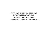 ESTUDO PRELIMINAR DE REVITALIZAÇÃO DA CIDADE INDUSTRIAL CORONEL JUVENTINO DIAS.