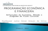 Definições de Economia, Método e Diagrama do Fluxo Circular Professor Julio Cesar Araujo da Silva Junior Chapecó, 2014.