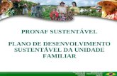 PRONAF SUSTENTÁVEL PLANO DE DESENVOLVIMENTO SUSTENTÁVEL DA UNIDADE FAMILIAR.