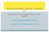 Professor: Cezar Augusto Pereira dos Santos cezarsantos1975@hotmail.com cezarsantos1975@unochapeco.edu TÍTULOS do MERCADO de CAPITAIS 1.