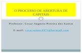 Professor: Cezar Augusto Pereira dos Santos E-mail: cezarsantos1975@hotmail.comcezarsantos1975@hotmail.com O PROCESSO DE ABERTURA DE CAPITAIS 1.