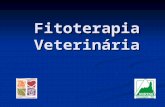 Fitoterapia Veterinária CONCEITO: FITO = Plantas com propriedades medicinais; TERAPIA = Tratamento Terapêutica caracterizada pelo uso de plantas medicinais.