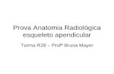 Prova Anatomia Radiológica esqueleto apendicular Turma R28 – Profª Bruna Mayer.