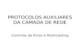 PROTOCOLOS AUXILIARES DA CAMADA DE REDE Controle de Erros e Multicasting.