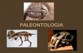PALEONTOLOGIA. Para que serve a Paleontologia Formado a partir das palavras gregas: palaios = antigo, ontos = ser, logos = estudo; Utiliza os fósseis.