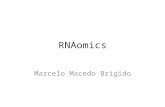 RNAomics Marcelo Macedo Brigido. conteúdo Histórico de descobertas RNA como central no controle da expressão gênica RNA codificador não codificador Estrutura.