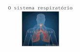 O sistema respiratório Tatiana Rosa. Funções primárias do sistema respiratório 1.Troca de gases entre a atmosfera e o sangue 2.Regulação homeostática.