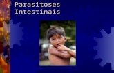 Parasitoses Intestinais. Caso 1  LJB, 18 meses de idade, masculino, natural e procedente de Salvador. Internado no HSA com história de vômitos há 4 dias,