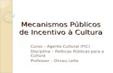 Mecanismos Públicos de Incentivo à Cultura Curso – Agente Cultural (FIC) Disciplina – Políticas Públicas para a Cultura Professor – Dirceu Leite.