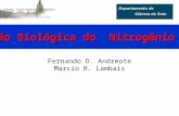 Fernando D. Andreote Marcio R. Lambais Fixação Biológica do Nitrogênio (FBN)