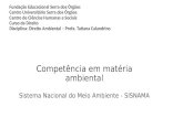Competência em matéria ambiental Sistema Nacional do Meio Ambiente - SISNAMA Fundação Educacional Serra dos Órgãos Centro Universitário Serra dos Órgãos.