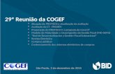 29ª Reunião da COGEF  Situação do PROFISCO e atualização da avaliação  Avaliação da CT –PRODEV  Preparação do PROFISCO II e proposta de nova CT  Modelo.