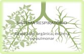 SISTEMA RESPIRATÓRIO Respiração orgânica, externa ou pulmonar.