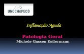 Patologia Geral Michele Gassen Kellermann. Resposta ___ a um agente nocivo encarregada de levar ___________ao local da lesão Inflamação Aguda Definição.