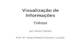 Visualização de Informações Fisheye por Iverton Santos Prof. Dr. Paulo Roberto Gomes Luzzardi.