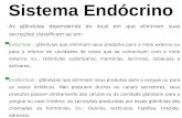 Sistema Endócrino -As glândulas dependendo do local em que eliminam suas secreções classificam-se em: ▀Exócrinas : glândulas que eliminam seus produtos.