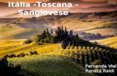 Itália -Toscana - Sangiovese Fernanda Vieira Renata Raldi.